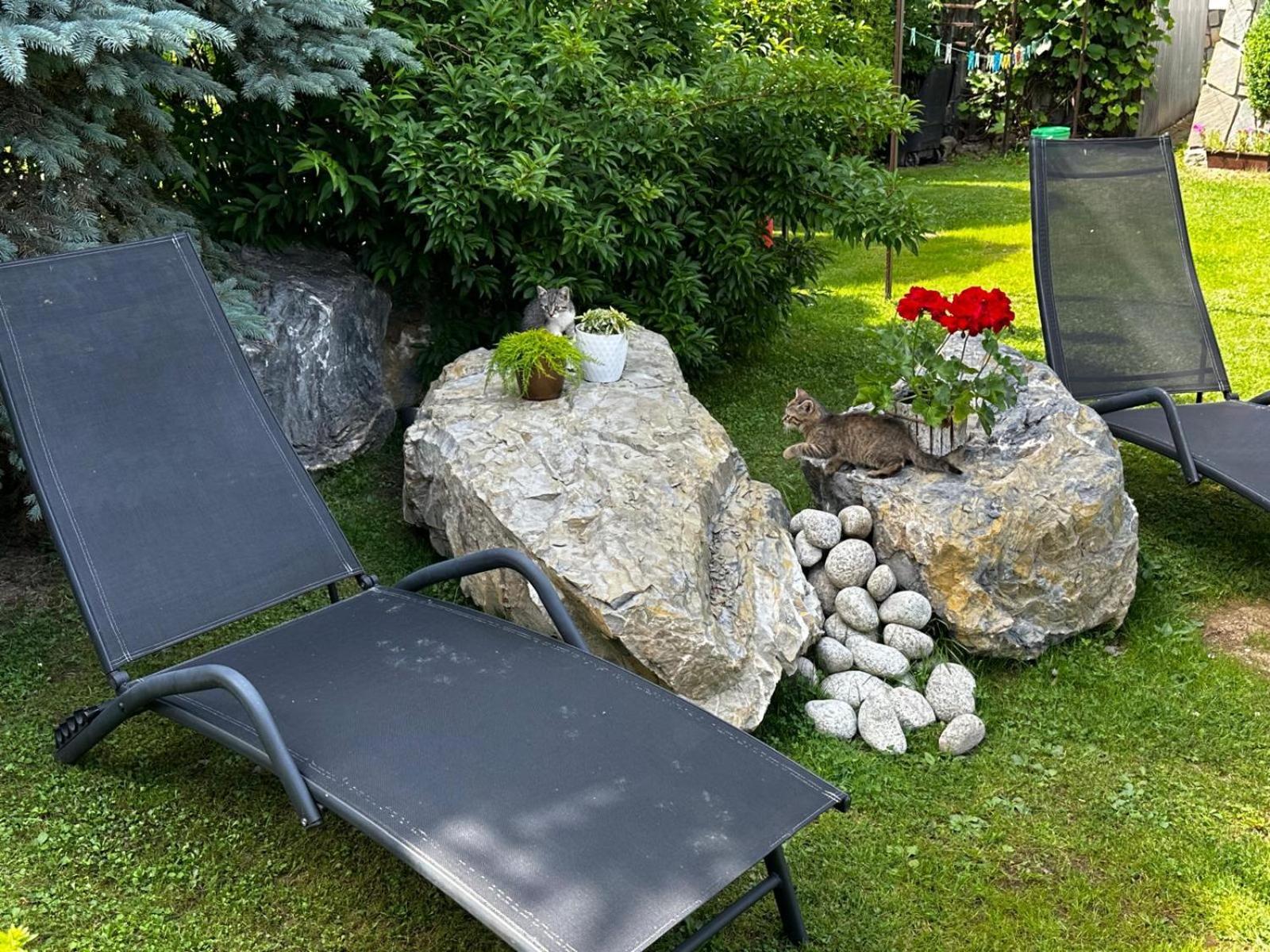 Dw Basia Pokoje I Apartament Bialka Tatrzanska Exteriör bild